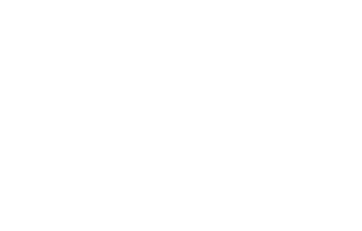Spaceit logo